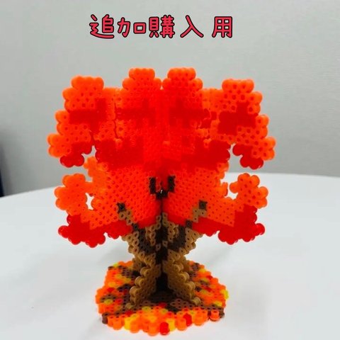 紅葉・桜の木※追加購入者限定