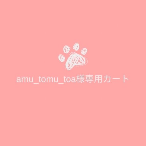 amu_tomu_toa様　専用カート🛒