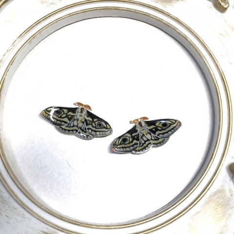 手描きのEmperor Mothのスタッドピアス　約3センチ