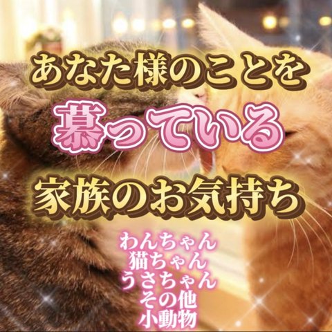 🐶あなた様のことを慕っている家族、わんちゃん、ねこちゃ、うさちゃん、その他小動物の気持ち🐈