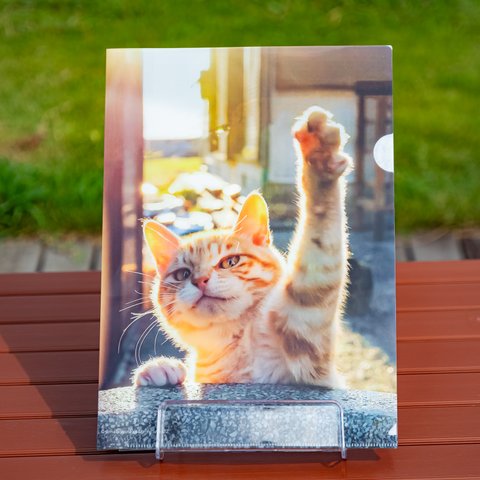 ④島猫クリアファイル　Island Cats A4 file folder