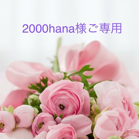 【2000hana様ご専用】ミナペルホネン ハンドメイドクッションカバー&ハンドメイドパネル計8点