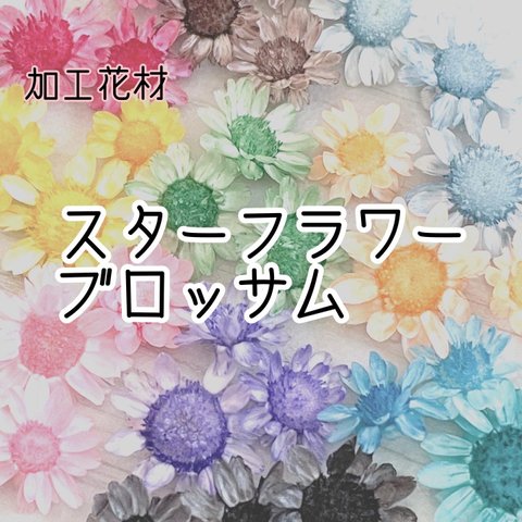【加工花材】オリジナル染色スターフラワー