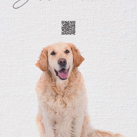 3D表示できるQR付 動物ポスター　犬（ゴールデンレトリバー）