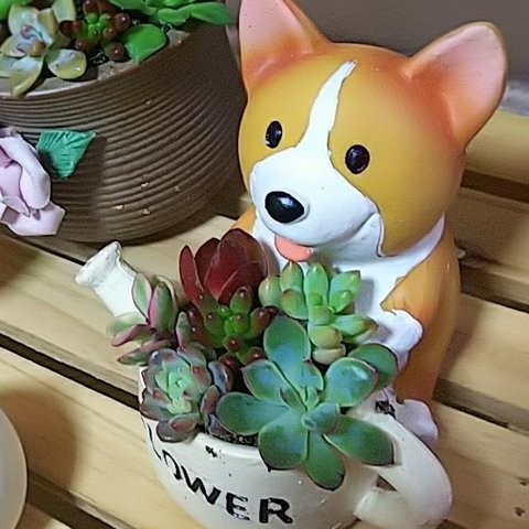 コーギーのプランター☆寄せ植え☆