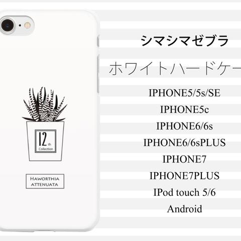 シマシマゼブラ　十二の巻　多肉植物　ホワイトハードケース　iPhone Android iPod touchi 対応ケース