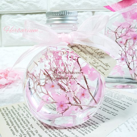 桜　ハーバリウム　₊✼̥*ˈ インテリア　プレゼント　ギフト　　春　贈り物　ハーバリウム