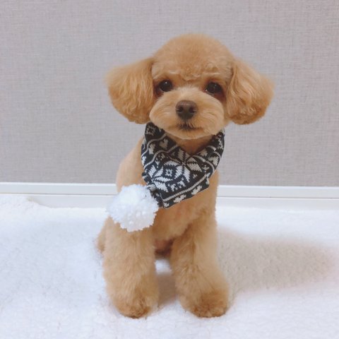 犬服  ノルディック柄 マフラー