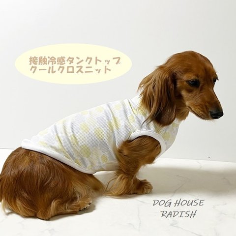 接触冷感タンクトップ くも柄  【イエロー】 Dog 犬服 ドッグウェア 夏 クール 雲