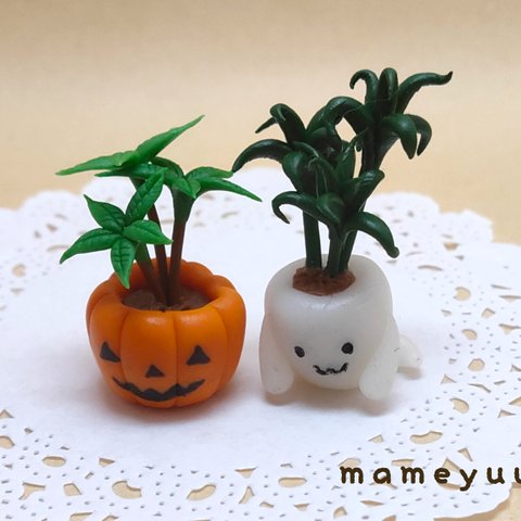 👻🎃の鉢植え2個セット①