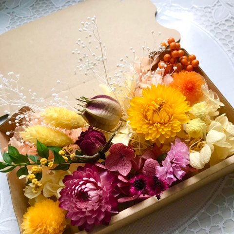 南国トロピカル＊ハーバリウム　花材ドライフラワー  花材詰め合わせセット