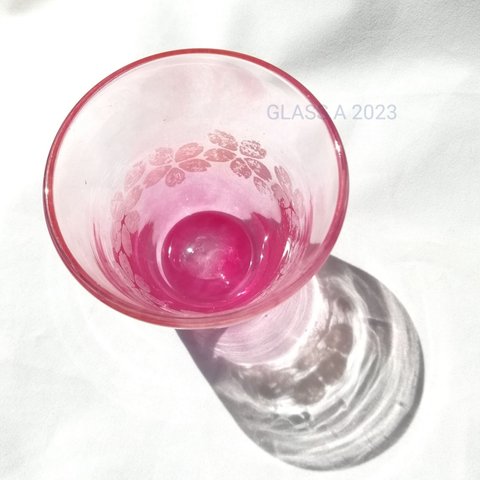 桜  グラス 