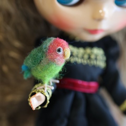 ミニミニコザクラインコ tiny lovebird