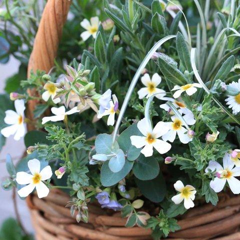 【１点もの】小さなお花のナチュラル野の花ブリコラージュフラワー