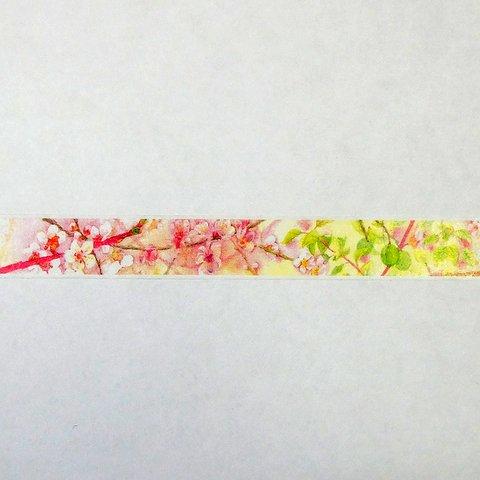 マスキングテープ　梅の花のテープ　１５mm　１０m
