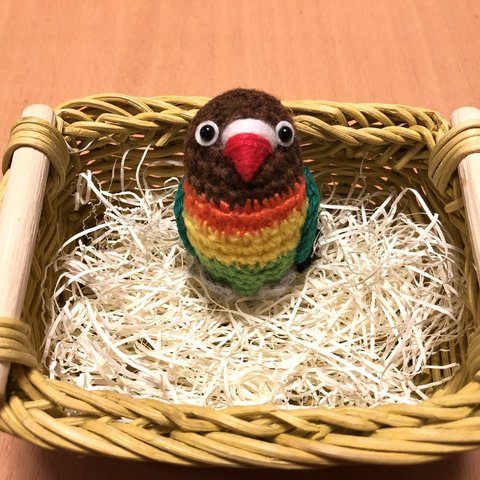 ボタンインコちゃん（ルリコシボタン）