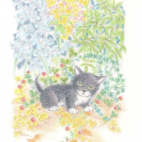 こねこ🐱版画「まよいねこ」