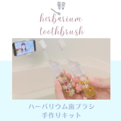 【限定6セット】ハーバリウム歯ブラシキット
