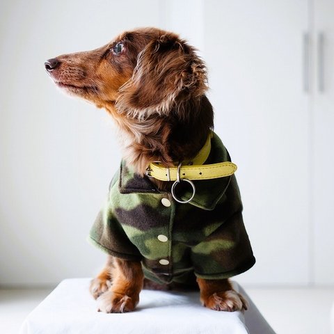 犬服　自然と一体化するボタン付きフリースのシャツ