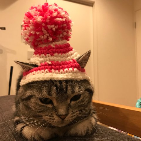 再販！猫用帽子 ポンポンニット帽風