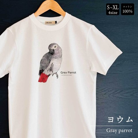 Tシャツ｜ヨウムGray parrot