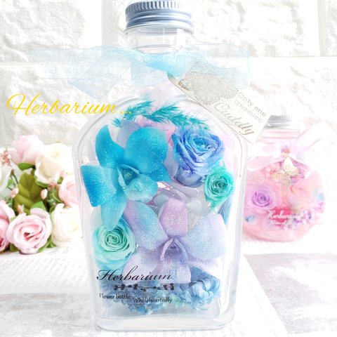 ꫛꫀꪝ✧‧˚*:.｡.bottleflower｡.:*　ボトルフラワー