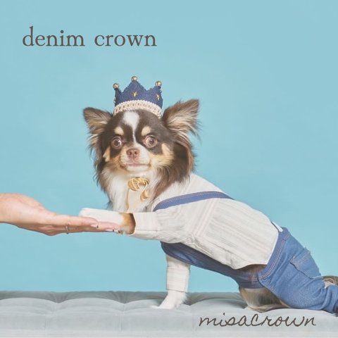 denim crown/ おしゃれなファッションアイテムにも　王冠　クラウン