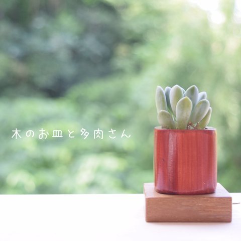 【手のひらサイズのインテリア】初心者でも楽しめます♡woodcube1個+下皿1枚セット