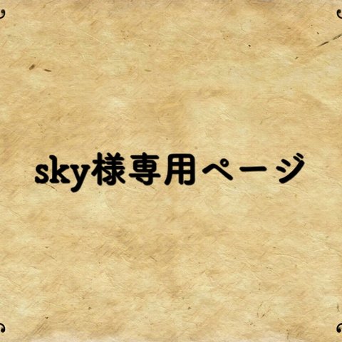 sky様専用ページ