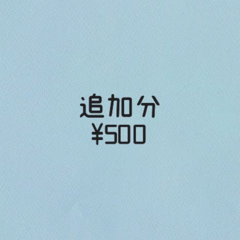 追加分500円