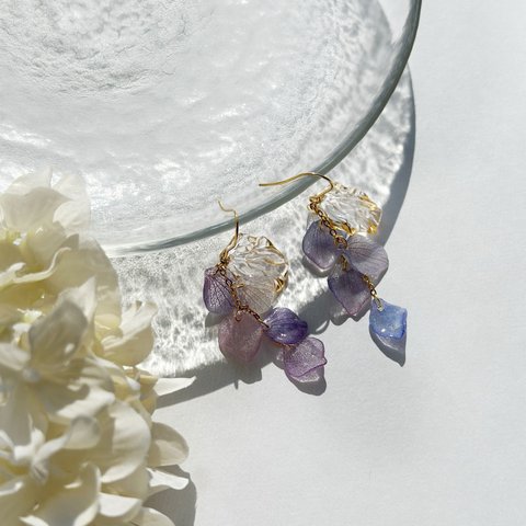 人魚の落し物～clear～揺れる花びら 本物の紫陽花 ピアス・イヤリング 