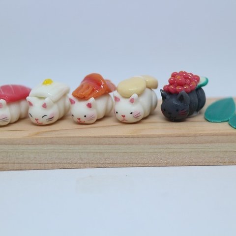 寿司猫　板並び（赤貝・イクラ）