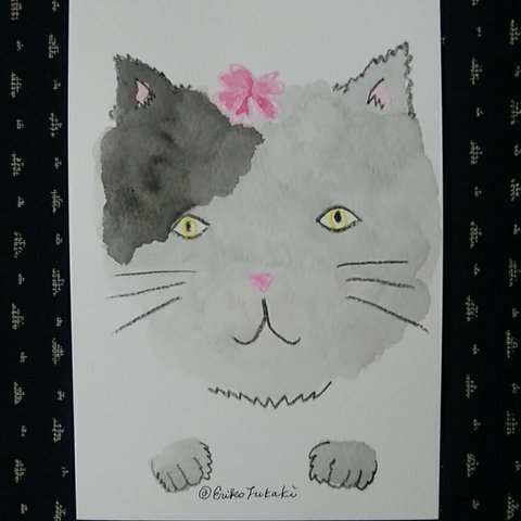 【 原画絵はがき_127 】🐱🌸