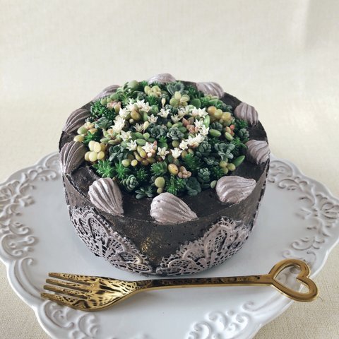 スイーツ鉢  チョコレート色のケーキ