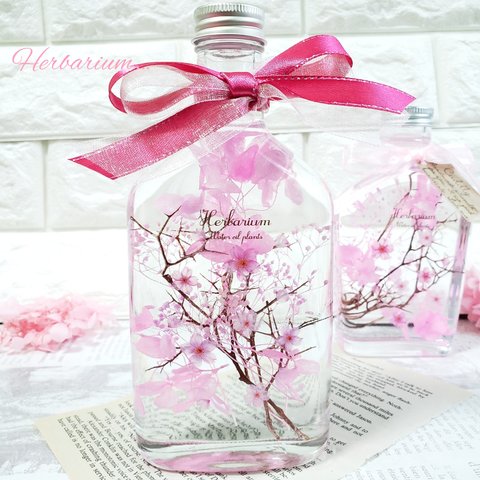 桜　ハーバリウム　₊✼̥*ˈ インテリア　プレゼント　ギフト　　春　贈り物