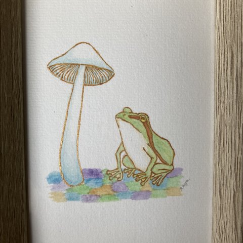 宙を見上げる🌈🐸