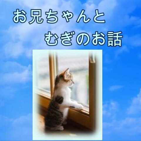 ウエディングムービー　一緒に暮らした可愛いねこが新郎新婦にお祝いを伝える動画　mp4ファイル送付、ユーチューブ公開or限定公開も選択可　保護施設や個人ボランティアに寄付分を値引きします。