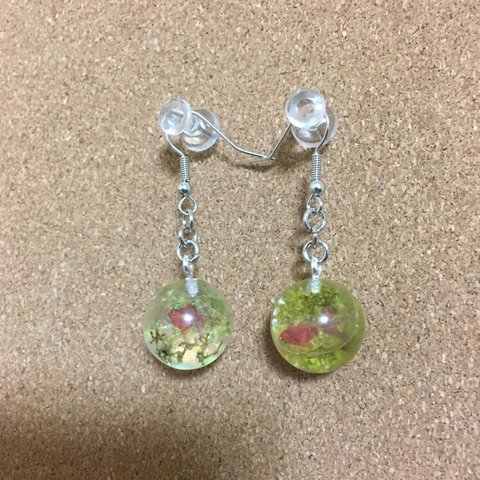 金魚鉢ピアス