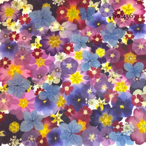 ♡new♡作家様必見♡押し花MIXセット♡押し花セット