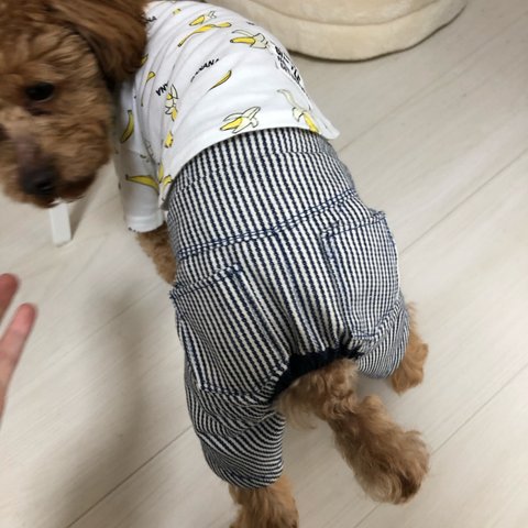 犬用デニム