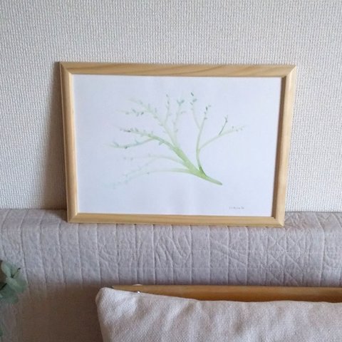 「tree」　原画　水彩画　A4サイズ　額装します　送料無料　癒やし　ナチュラル