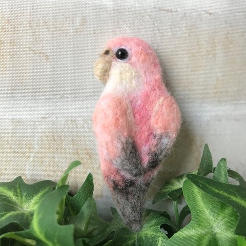 アキクサインコ（ローズ）の羊毛フェルトブローチ