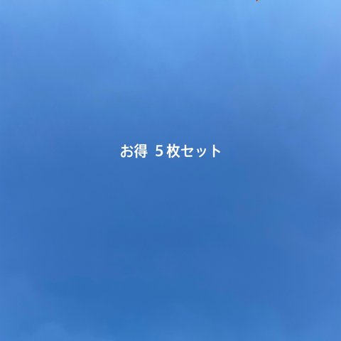 ②  お得 ５枚セット　全てのポストカードの中からお好きなものを５枚お選び下さい。