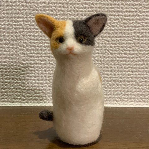 NEKODARUMA（三毛猫）