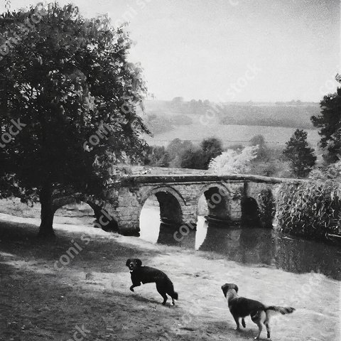 フランスの田舎、川と橋、犬、レトロ、モノクロ、アート、古びた写真　conistock_20601_02