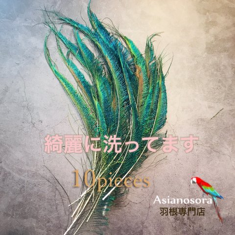 ❤️【クジャク 10枚】 ❤️剣 ❤️高品質 孔雀の羽根 ハンドメイド アクセサリー 装飾　羽　素材　鳥