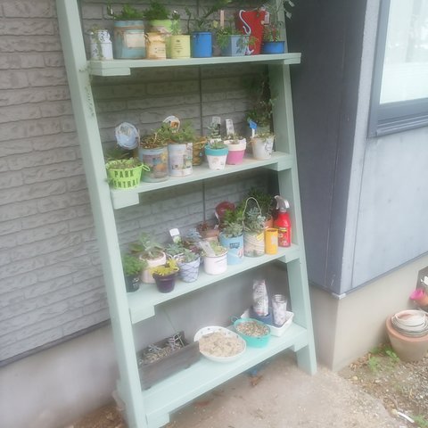 Shelf (棚) 1800×900