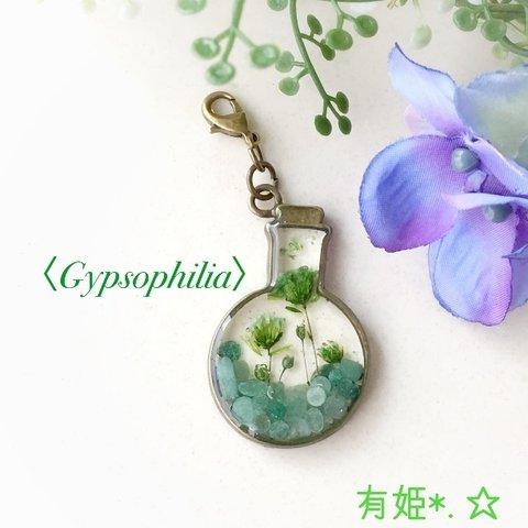 〈Gypsophilia〉