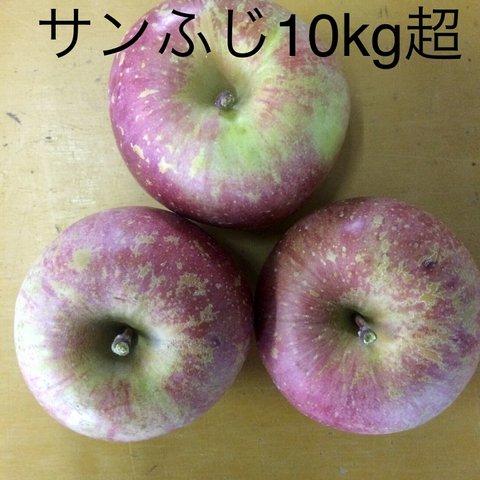 長野県産　訳ありサンふじ家庭用10kg超