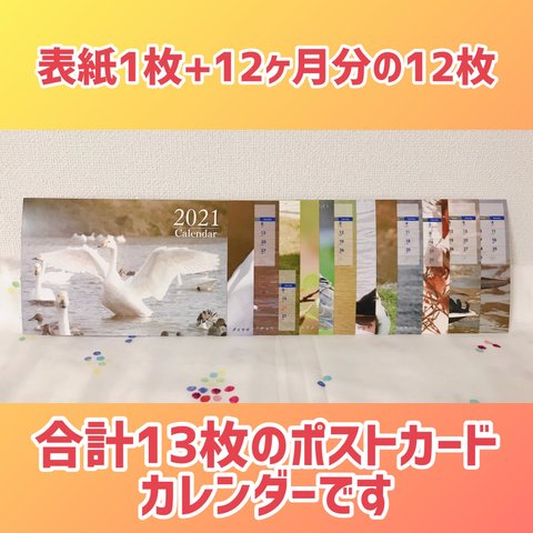 野鳥カレンダー、文鳥缶バッジセット